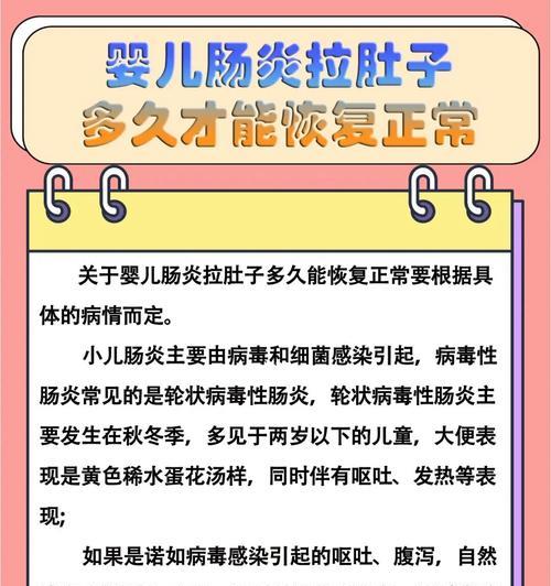 博美犬肠炎防治全攻略（宠物肠胃不适怎么办？博美犬主人必看！）