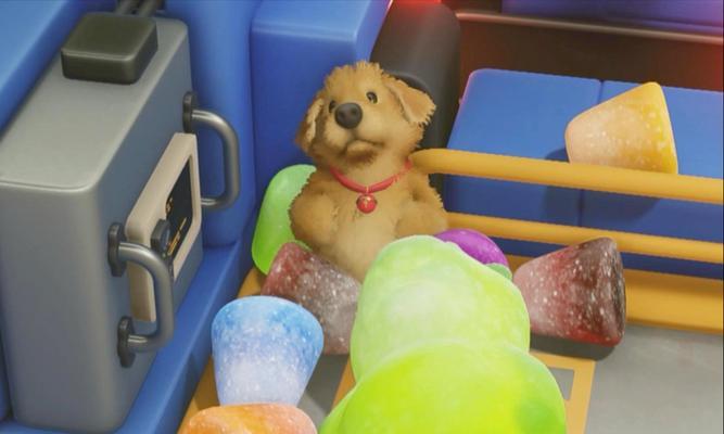 小狗喝糖水行吗？（关于小狗喝糖水的正确观念）