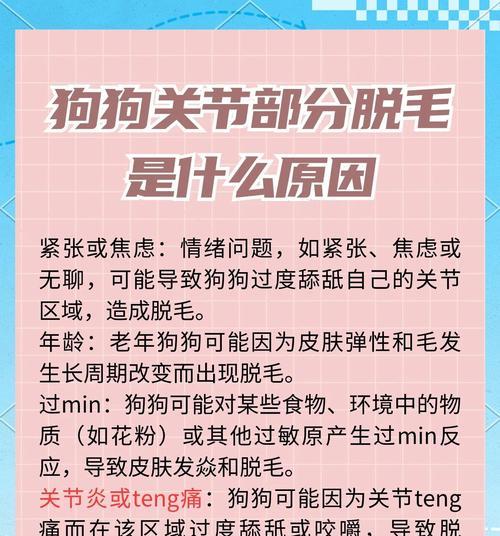 拉布拉多掉毛严重的原因及解决方法（揭秘拉布拉多掉毛背后的原因，轻松解决狗毛困扰）