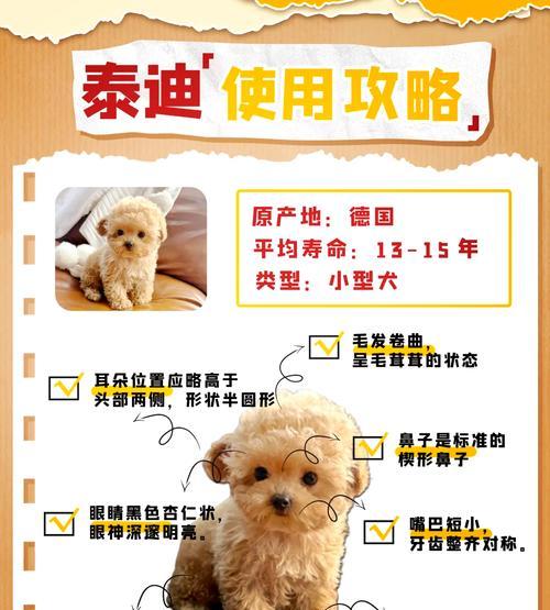 养贵宾犬必备技能训练（打造与众不同的贵宾犬—养育与训练贵宾犬的指南）