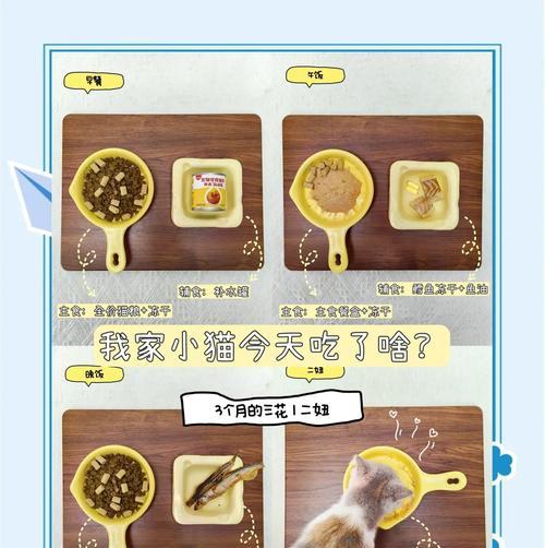 喂猫咪喝液体药的正确方法（教你轻松解决猫咪喂药难题）