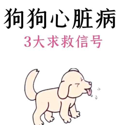 狗狗为什么喜欢伸舌头？（探寻狗狗伸舌头的原因及其与体温调节的关系）