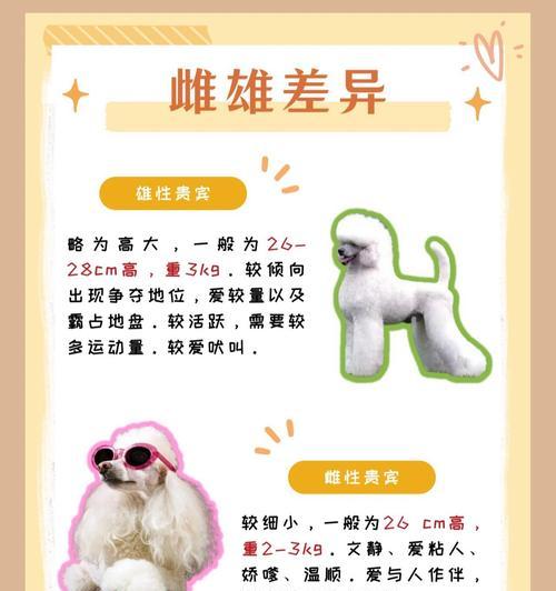 了解贵宾犬（探索贵宾犬的多样性及其适应不同家庭的优势）