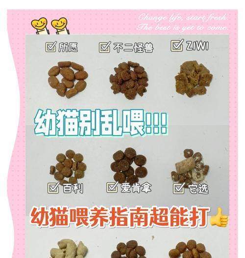 刚出生的小猫每天需要喝多少奶？（母猫奶和配方奶的选择与喂养注意事项）