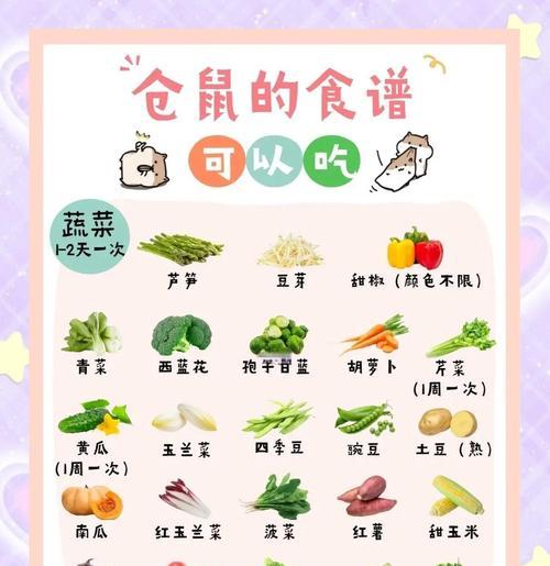 仓鼠饲养指南——健康生活的关键（了解仓鼠饲养的基本要点，打造快乐宠物生活）