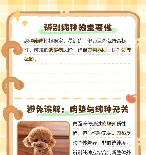 泰迪犬为什么越来越瘦？（探究泰迪犬体重下降的原因与解决方法）