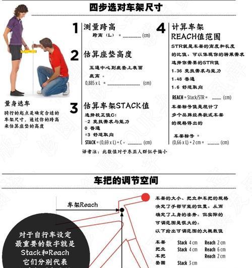 如何准确测量金毛体高（科学测量金毛体高的方法及步骤）