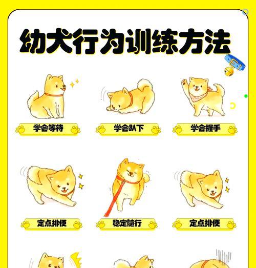 如何判断幼犬是否吃饱？（掌握以下关键信息，轻松判断幼犬饱食程度）