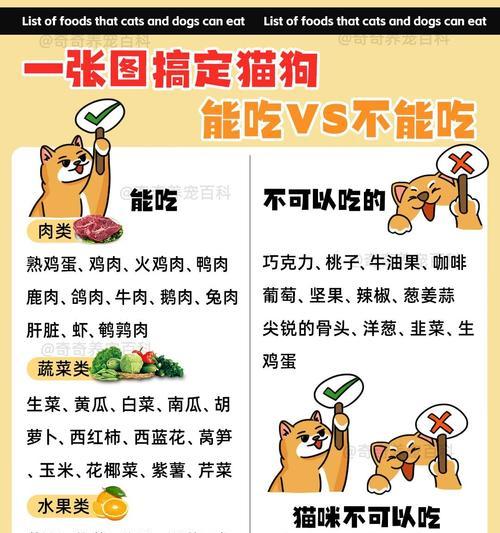 狗吃猫奶糕会有什么影响？（探究狗吃猫奶糕的风险与安全性）