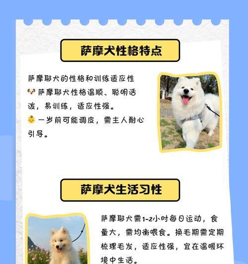 以萨摩耶多大怎么判断？（探索萨摩耶年龄的方法及关键因素）