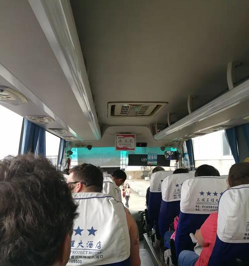 如何顺利带小狗过安检大巴（小狗安检大巴顺利出行攻略）