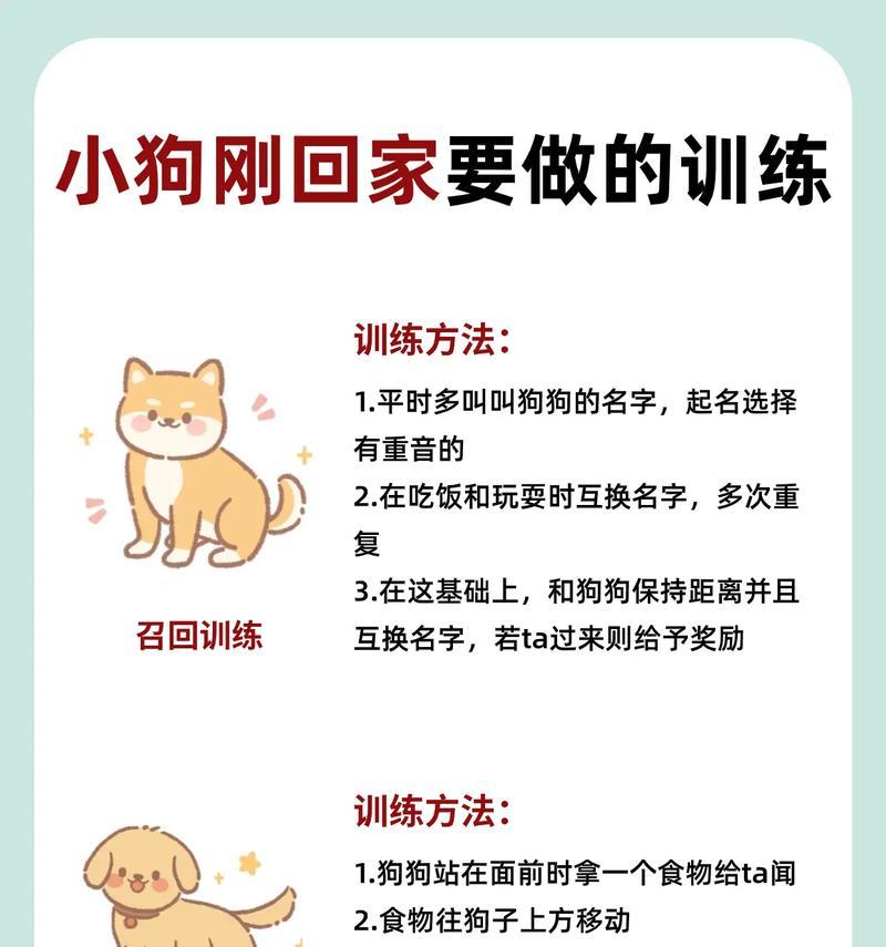 如何应对哈士奇护食咬人问题（了解问题根源，建立正确的训练方法，维护家庭安全）