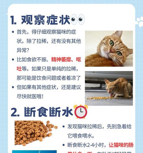 猫肠子异物堵塞的紧急处理方法（急救猫肠子异物堵塞！如何保护你的毛茸宝贝？）