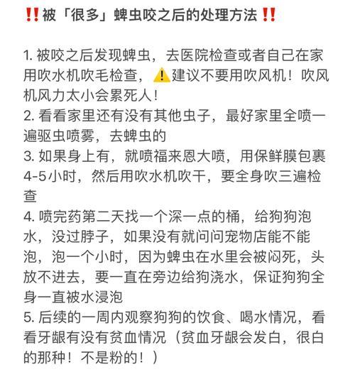 如何有效应对宠物狗长了跳蚤的问题？（简单易行的防治方法让你的狗宠爱无虞）